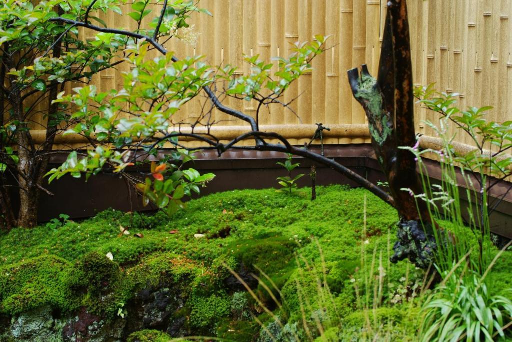 城崎温泉 但馬屋-Tajimaya- Toyooka  Bagian luar foto